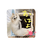 やぁさん（個別スタンプ：9）