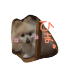 やぁさん（個別スタンプ：16）