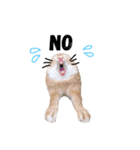 ムギと365。（個別スタンプ：6）