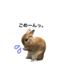 ムギと365。（個別スタンプ：11）