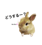 ムギと365。（個別スタンプ：27）