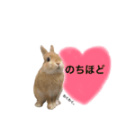 ムギと365。（個別スタンプ：29）