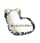 Nyankkkko（個別スタンプ：4）