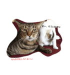 Nyankkkko（個別スタンプ：7）