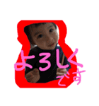 t.riaritsu（個別スタンプ：14）
