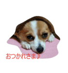 日常生活1024（個別スタンプ：2）