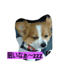 日常生活1024（個別スタンプ：3）