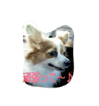 日常生活1024（個別スタンプ：8）