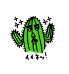 サボテンGUY（個別スタンプ：13）