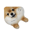 mahalochan（個別スタンプ：3）