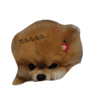 mahalochan（個別スタンプ：5）
