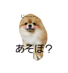 mahalochan（個別スタンプ：8）