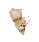 mahalochan（個別スタンプ：9）