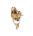 mahalochan（個別スタンプ：14）