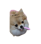 mahalochan（個別スタンプ：22）