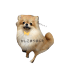 mahalochan（個別スタンプ：23）
