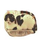 のたお（個別スタンプ：1）
