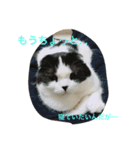 のたお（個別スタンプ：3）