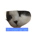 のたお（個別スタンプ：5）