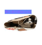 のたお（個別スタンプ：7）