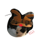 のたお（個別スタンプ：8）
