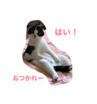 のたお（個別スタンプ：11）