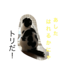 のたお（個別スタンプ：16）