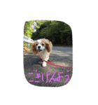 ティニーの一日（個別スタンプ：2）