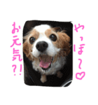 ティニーの一日（個別スタンプ：3）
