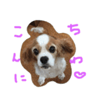 ティニーの一日（個別スタンプ：4）
