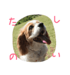 ティニーの一日（個別スタンプ：8）