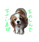 ティニーの一日（個別スタンプ：10）
