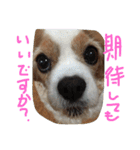 ティニーの一日（個別スタンプ：21）