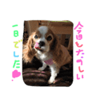 ティニーの一日（個別スタンプ：22）