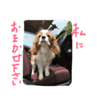 ティニーの一日（個別スタンプ：27）