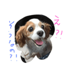 ティニーの一日（個別スタンプ：29）