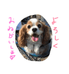 ティニーの一日（個別スタンプ：31）