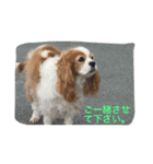 ティニーの一日（個別スタンプ：32）