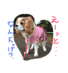 ティニーの一日（個別スタンプ：35）