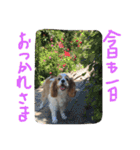 ティニーの一日（個別スタンプ：37）