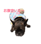 frenchbulldoglove（個別スタンプ：2）
