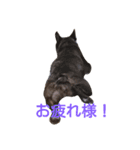 frenchbulldoglove（個別スタンプ：7）
