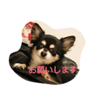 ちゃま2（個別スタンプ：4）