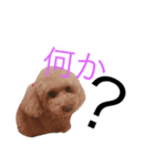 もこもここ（個別スタンプ：6）