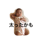 every day Hi-chan（個別スタンプ：3）