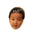 koharutotensei（個別スタンプ：4）
