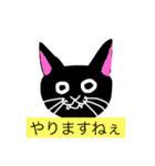 猫の黒崎さんスタンプ（個別スタンプ：1）