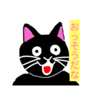 猫の黒崎さんスタンプ（個別スタンプ：8）
