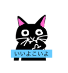 猫の黒崎さんスタンプ（個別スタンプ：13）