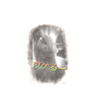 スケッチキャット（個別スタンプ：4）